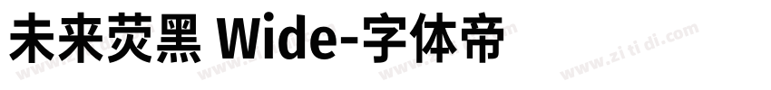 未来荧黑 Wide字体转换